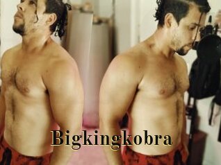 Bigkingkobra
