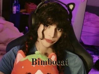 bimbocat Films 2 Q
