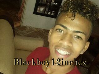 Blackboy12inches