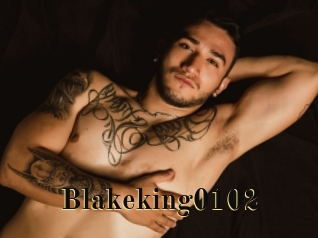 Blakeking0102