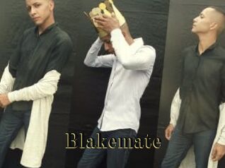 Blakemate