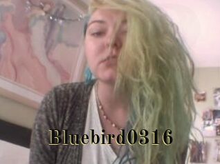 Bluebird0316