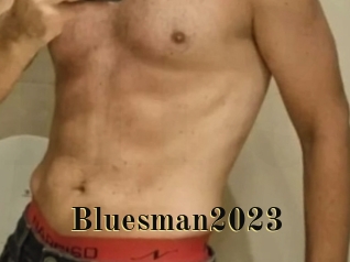 bluesman2023 Films 2 Q