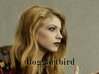 Boggartbird