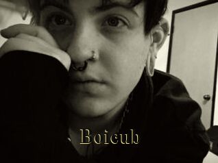 Boicub