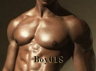 boy018 Films 2 Q