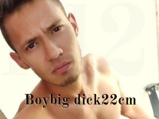 Boybig_dick22cm
