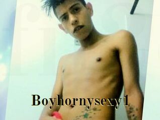 Boyhornysexy1