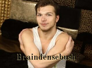 Braindensebush