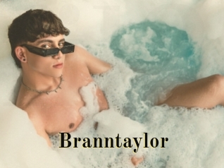 branntaylor Films 2 Q