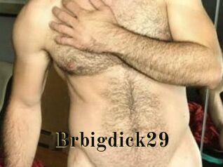 Brbigdick29