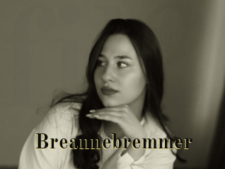Breannebremmer