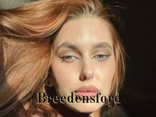 breedensford Films 2 Q
