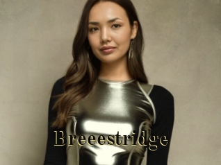 Breeestridge