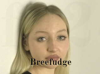 Breefudge