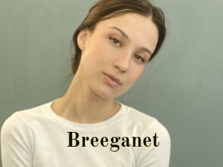 Breeganet