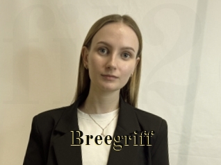 Breegriff