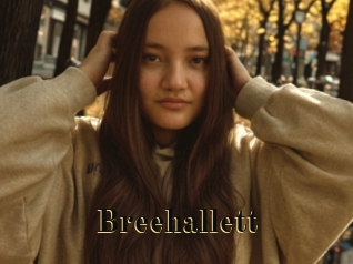 Breehallett