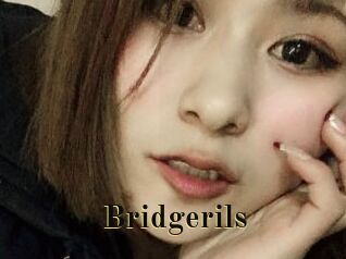 Bridgerils