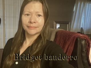 Bridget_banderro