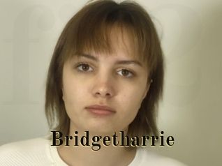 Bridgetharrie