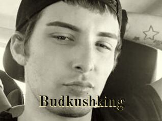 Budkushking