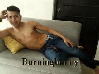 Burningbunny