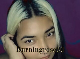 Burningrose20