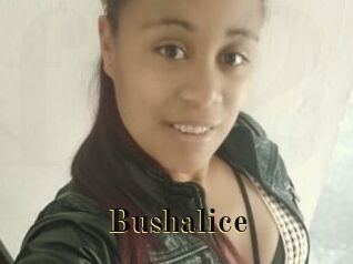 Bushalice