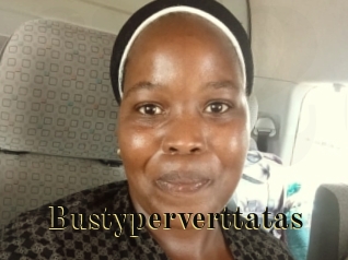 bustyperverttatas Films 2 Q