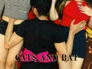 CATS_AND_BAT