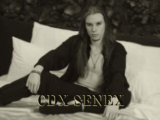 CDX_SENEX Films 2 Q
