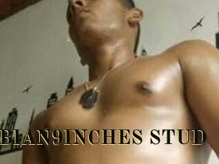 COLOMBIAN9INCHES_STUD