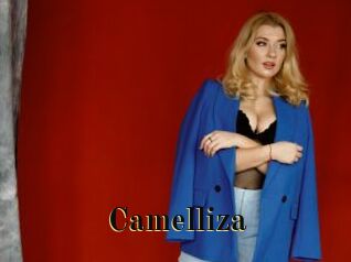 Camelliza Films 2 Q