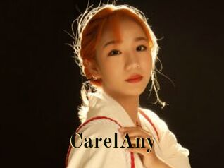 CarelAny Films 2 Q