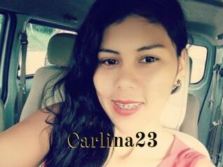 Carlina23