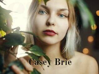 Casey_Brie Films 2 Q