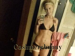 Cashmerebunny