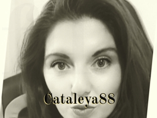 Cataleya88