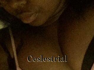 Ceslestrial