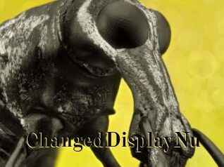 ChangedDisplayNu