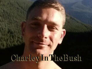 CharleyInTheBush