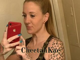 CheetahKae