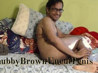 ChubbyBrownUncutPenis
