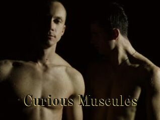 Curious_Muscules