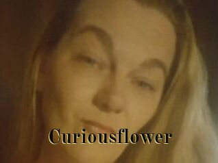 Curiousflower