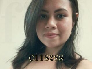 C118288