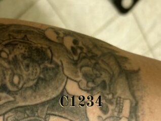 C1234
