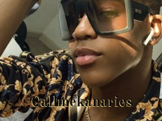 Callmekanaries