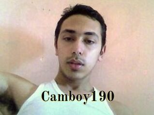 Camboy190